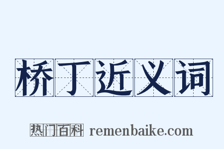 桥丁近义词是什么意思的图片